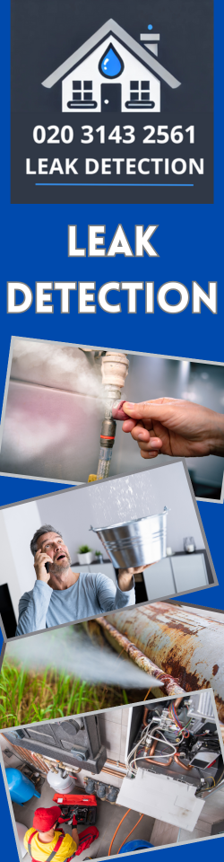 Herne Hill Leak Detection