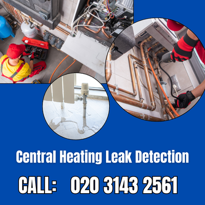 Central Heating Leak Detection Services in Herne Hill | Herne Hill Leak Detection