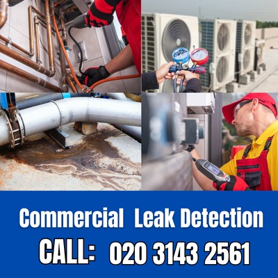 Commercial Leak Detection Services in Herne Hill | Herne Hill Leak Detection