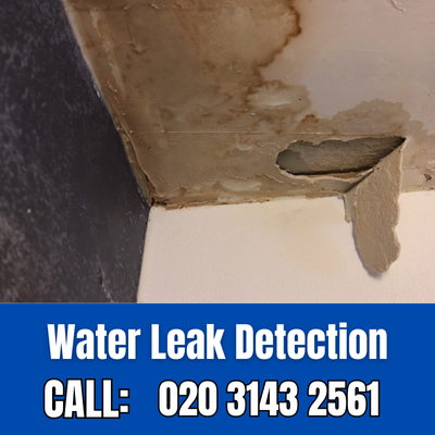 Expert Water Leak Detection Services in Herne Hill | Herne Hill Leak Detection
